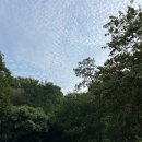 지리산촌돼지 | 2023-09-19 대구 앞산 산행(안지랑골공영주차장-앞산정상 왕복코스)