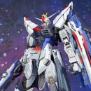 머슬프리덤 이미지