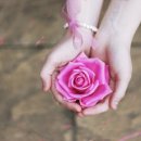 충주남산초등학교 이미지