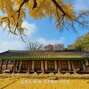 전주향교 이미지