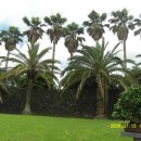 오성민박 이미지