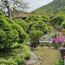 까사벨라 이미지