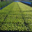 서주농장 이미지