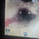 충주하수구막힘 시원하게 뚫어주는 119하수구 의뢰후기!