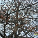 칠첩반상 이미지