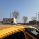 (주)용성제재소(1종) | [운전면허] 6. 도로주행시험 단번에 합격!! (ft.용성자동차운전전문학원) | 마지막에 꿀팁 정리