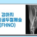 동물병원 더 하임 이미지