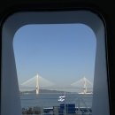 편 | 애견동반 제주도 배편 후기｜목포항에서 제주까지 탑승 후기
