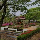 용인효사랑 이미지