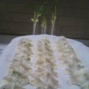 다뭉쳐봐 이미지