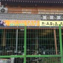 문학동항아리화분