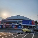 진상체육관 | 대전 삼성화재블루팡스 안전요원 후기(V리그,남자배구,대전충무체육관)