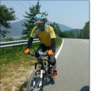 못말리는 사람들 이미지