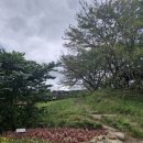 매봉재공원 화장실 이미지