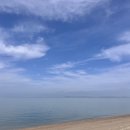 브릭스테이 이미지