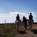 가시리농촌체험휴양마을 이미지