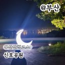 신호 | 부산 산책 코스 갈맷길 신호공원 후기
