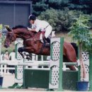 세종승마클럽 이미지