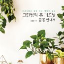 더그린썸 이미지