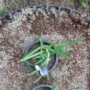 종근목장 이미지