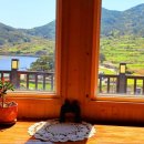 청산도올레펜션 이미지