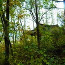 삼일2리 이미지