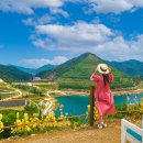 동해시-8 이미지