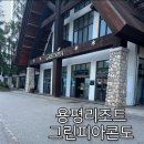 그린피아 | 강원도 숙소 추천!용평리조트 그린피아콘도 38평 솔직후기