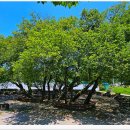 풍암호수공원 이미지