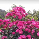 대인부동산중개사무소 이미지