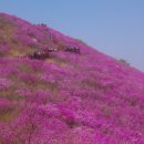 수우산악회 제201차 창원 천주산 산행공지 이미지