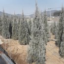 원이농장 이미지