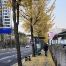 경기도 수원시 장안구 경수대로1081번길 이미지