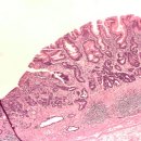 화생 약국 이미지