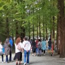 금산28-4교 이미지