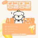 딩굴댕굴 애견호텔 유치원 이미지