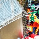 소라랑문어랑 이미지