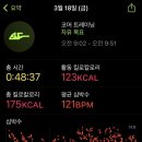 PT DAY 이미지