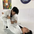 레츠롤