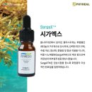 파이힐(주) 네이버블로그