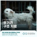 동물사랑세상 의료센터 이미지