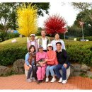(주)제주유리의성 Daum카페