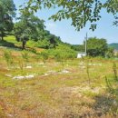 브레인 사이언스 이미지