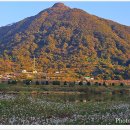 섬진강대나무숲길 이미지