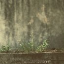 옥곡중학교 이미지