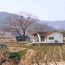 대방마을회관 이미지