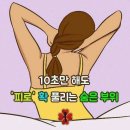 소변으로 매일 건강체크 이미지