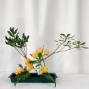 플라워 디자인_꽃꽂이 이미지