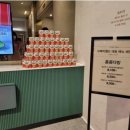 월드다방 이미지