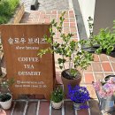 Slow Breeze(슬로우브리즈)